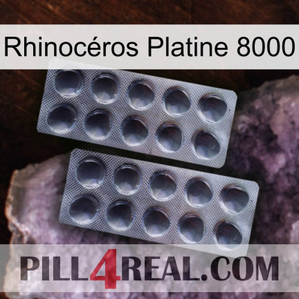 Rhinocéros Platine 8000 31